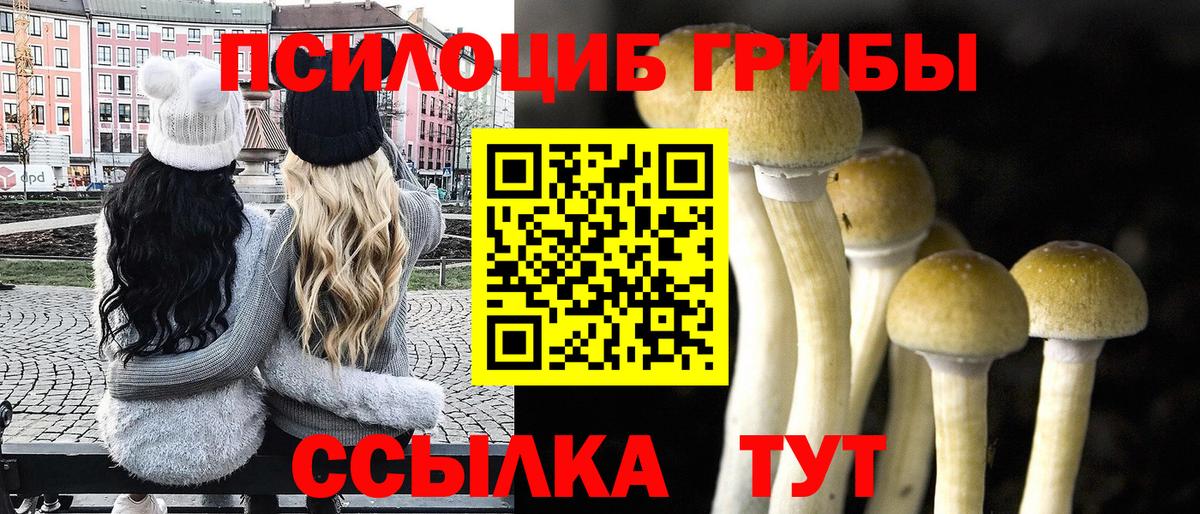 Псилоцибиновые грибы Psilocybe Нурлат