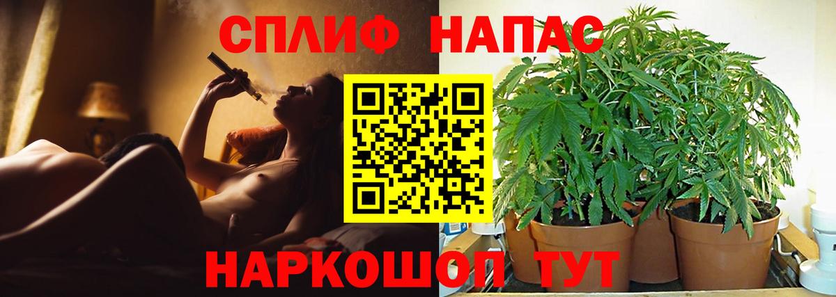 Марихуана марихуана  Вход с VPN  Нурлат  Конопля White Widow  Канабис OG Kush 